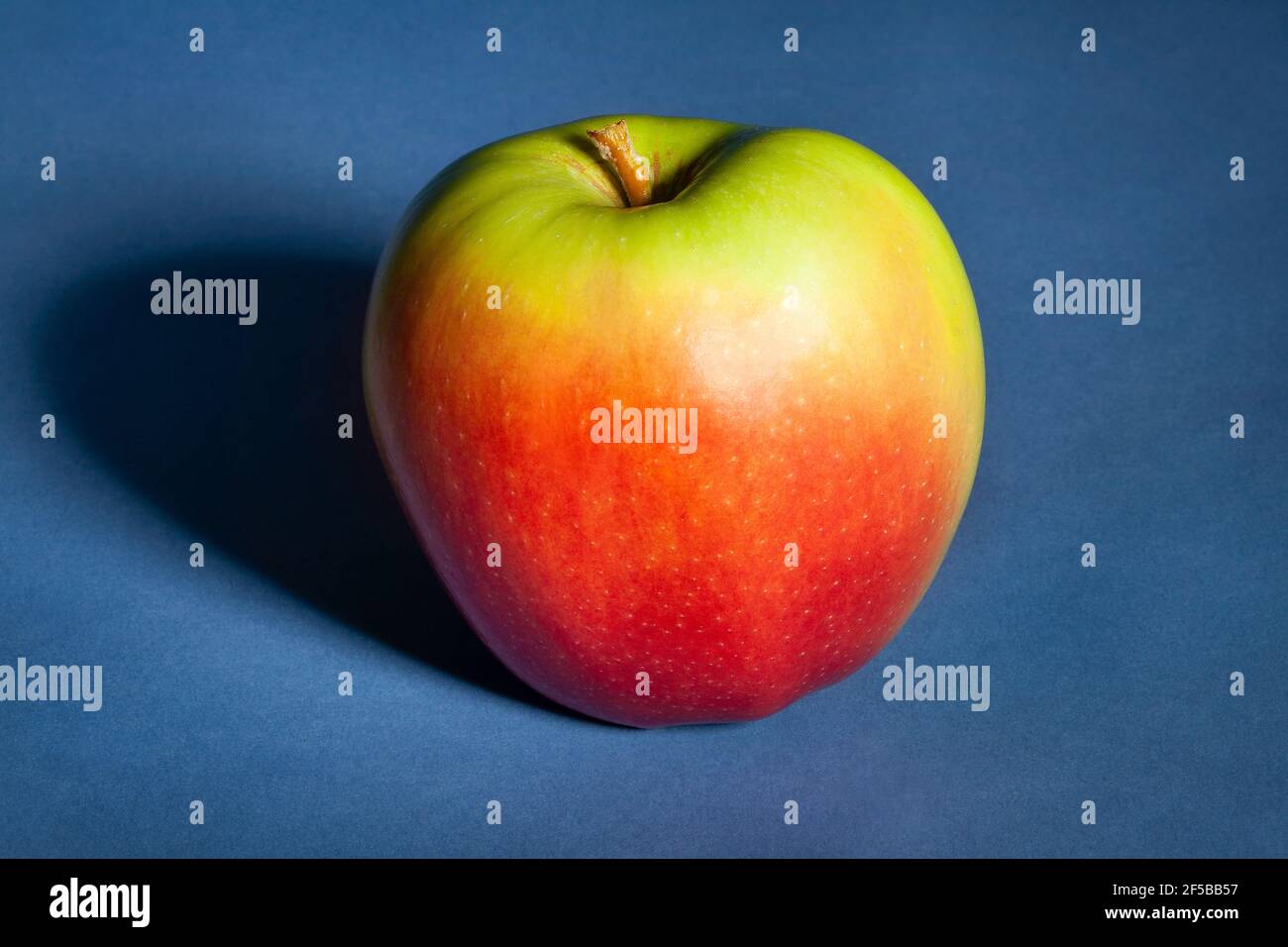 Rot grüner Apfel auf blauem Hintergrund Stockfoto