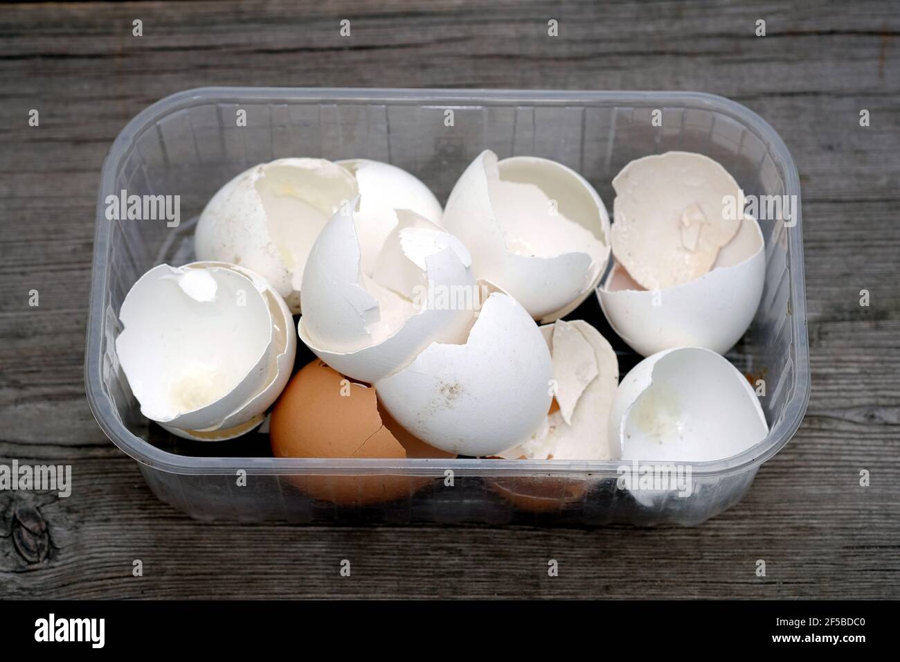 Eierschalen in einem Plastikbehälter auf einem hölzernen Hintergrund. Sammlung von Eierschalen Nahaufnahme. Stockfoto