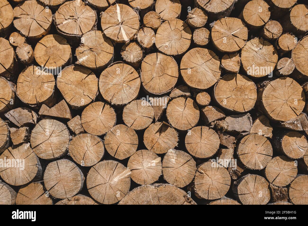 Gestapeltes Holz Holzstämme, Brennholz Hintergrund Muster Stockfoto