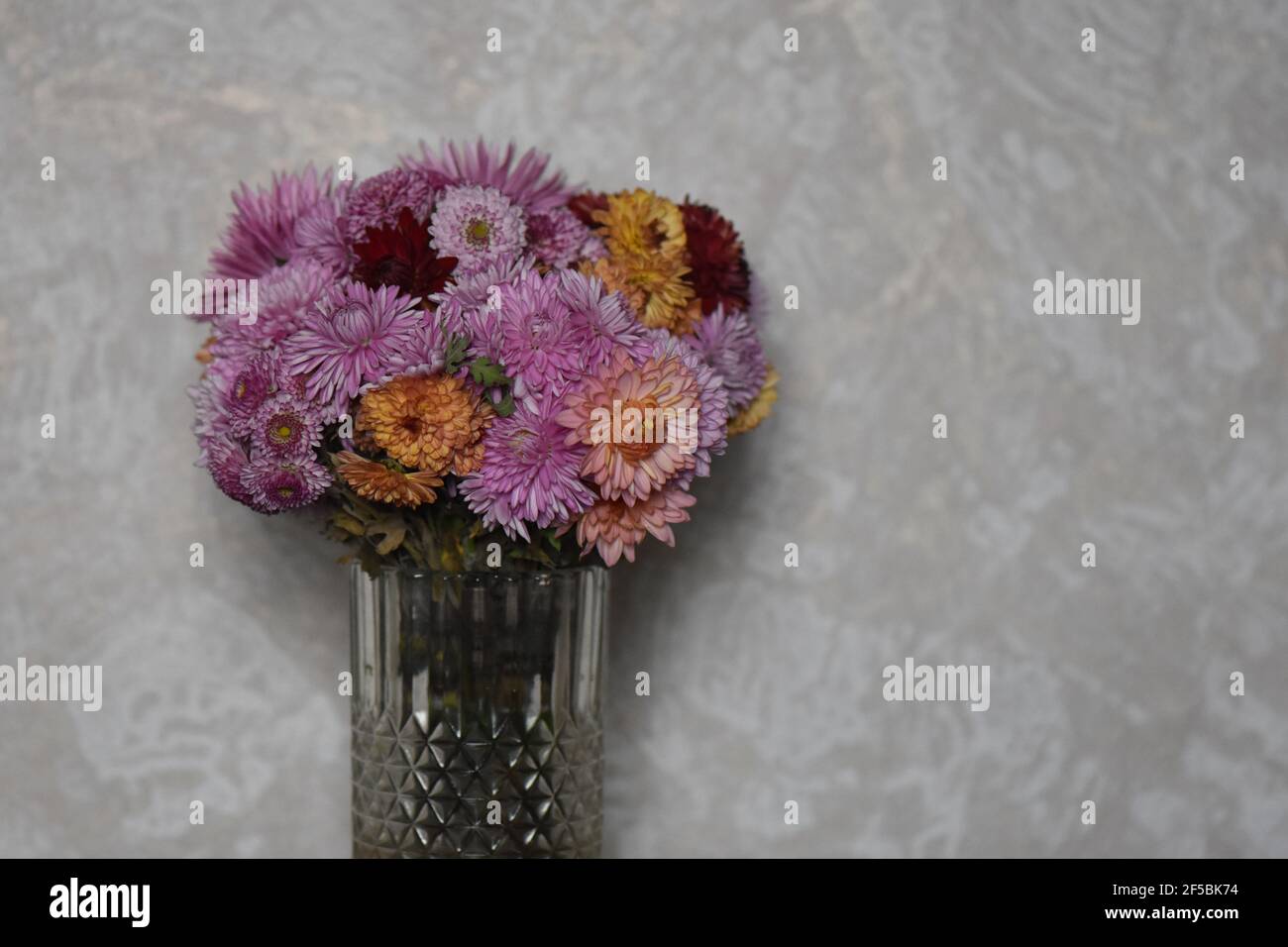 Wollsocken Stockfoto