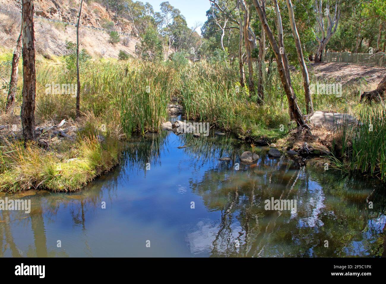 Der Fluss Torrens am Fuße der Adelaide Hills Stockfoto