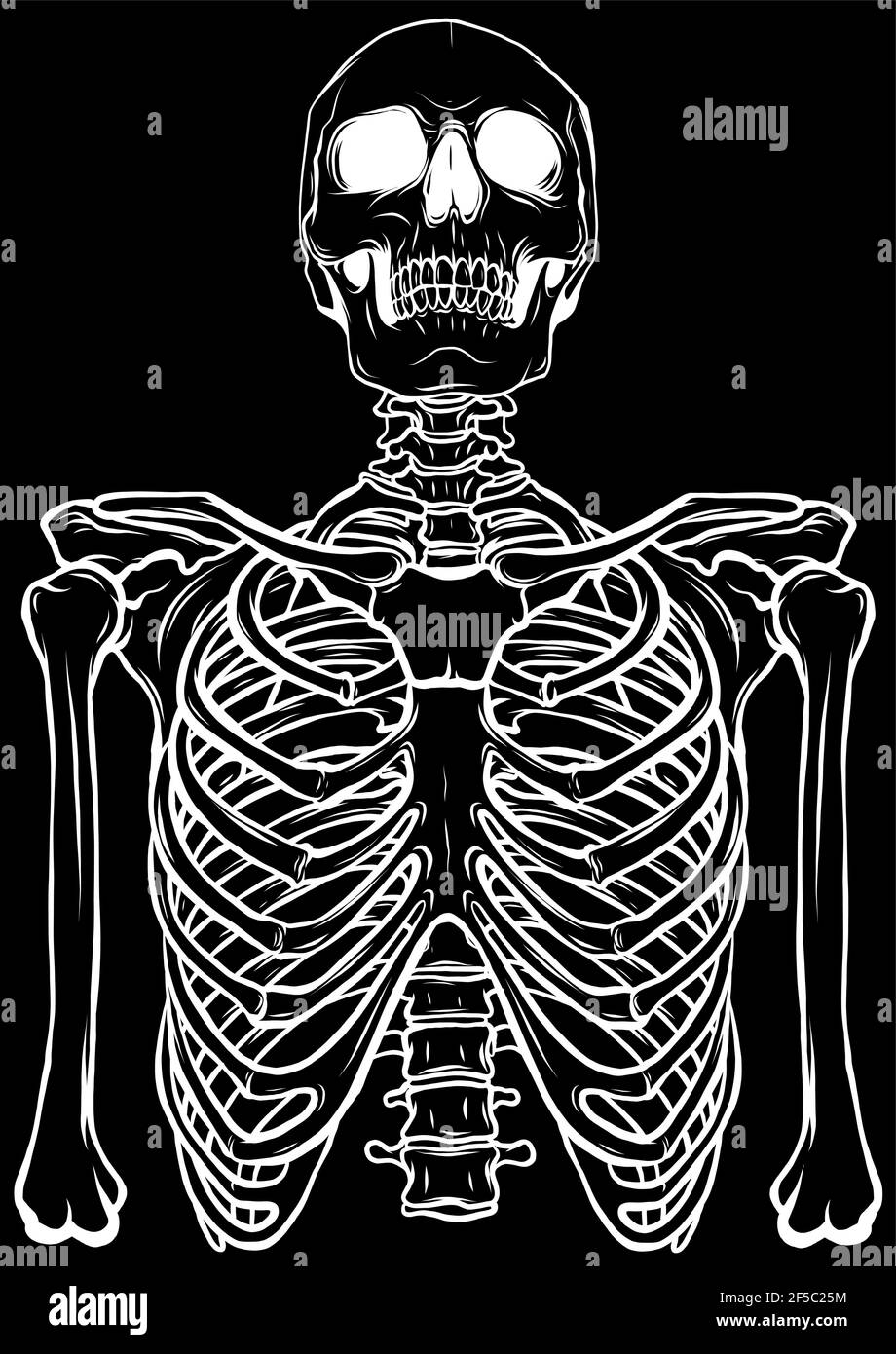 Weiße Silhouette des menschlichen Skeletts auf schwarzem Hintergrund Stock Vektor