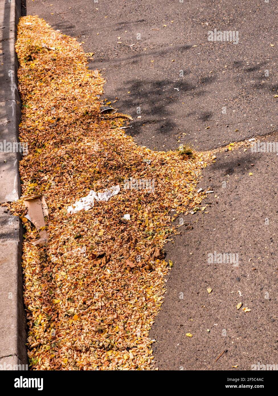 Ein Strauß Herbstblätter am Rand des Straße Stockfoto