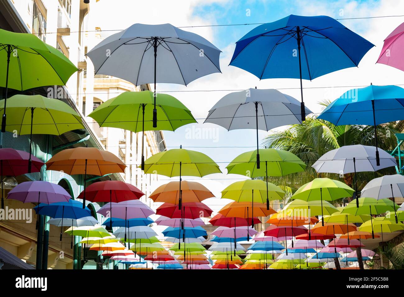 Bunte hängende Regenschirme in Caudan Waterfront, Mauritius Afrika Stockfoto