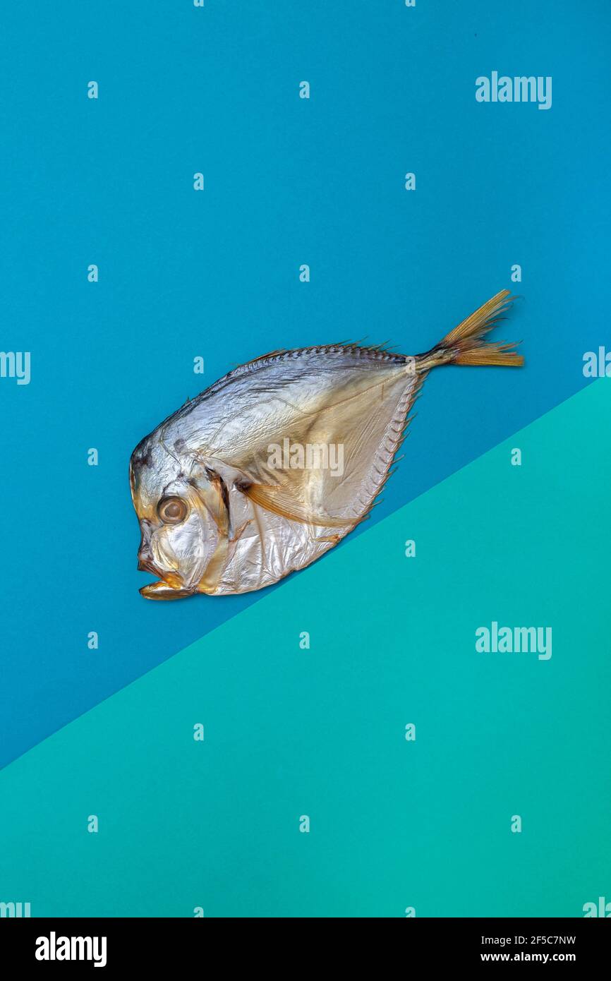Geräucherter Meeresfishmoon auf einem farbigen Hintergrund in einem Winkel Stockfoto