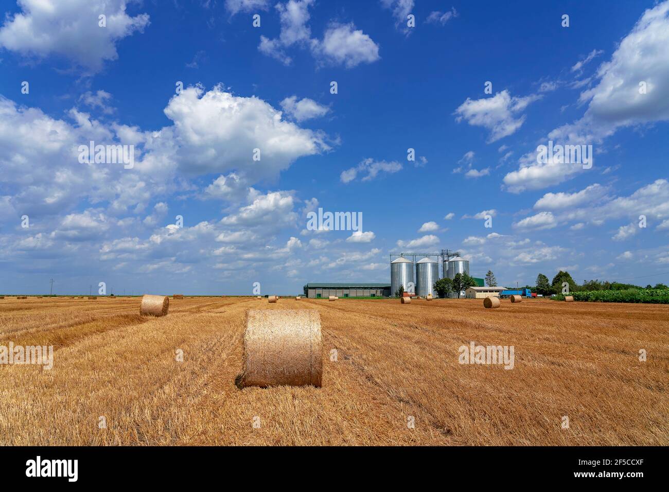 Runde Hay-Ballen auf dem Feld nach der Ernte. Heuballen und Korn Silos auf einem Feld gegen den blauen Himmel mit weißen Wolken. Landwirtschaftliche Getreidebehälter in einem Bauernhof. Stockfoto