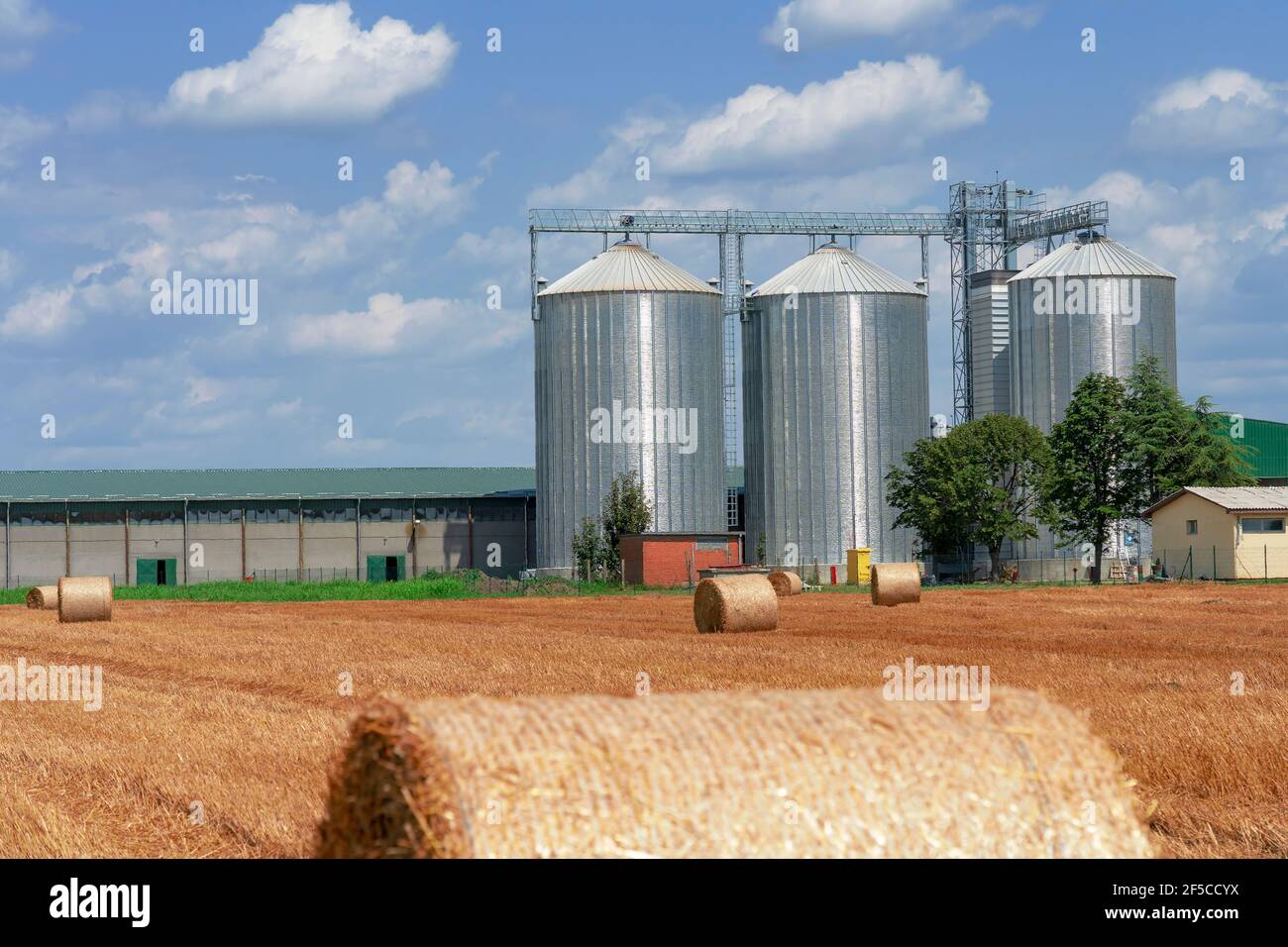 Runde Hay-Ballen auf dem Feld nach der Ernte. Heuballen und Korn Silos auf einem Feld gegen den blauen Himmel mit weißen Wolken. Stockfoto