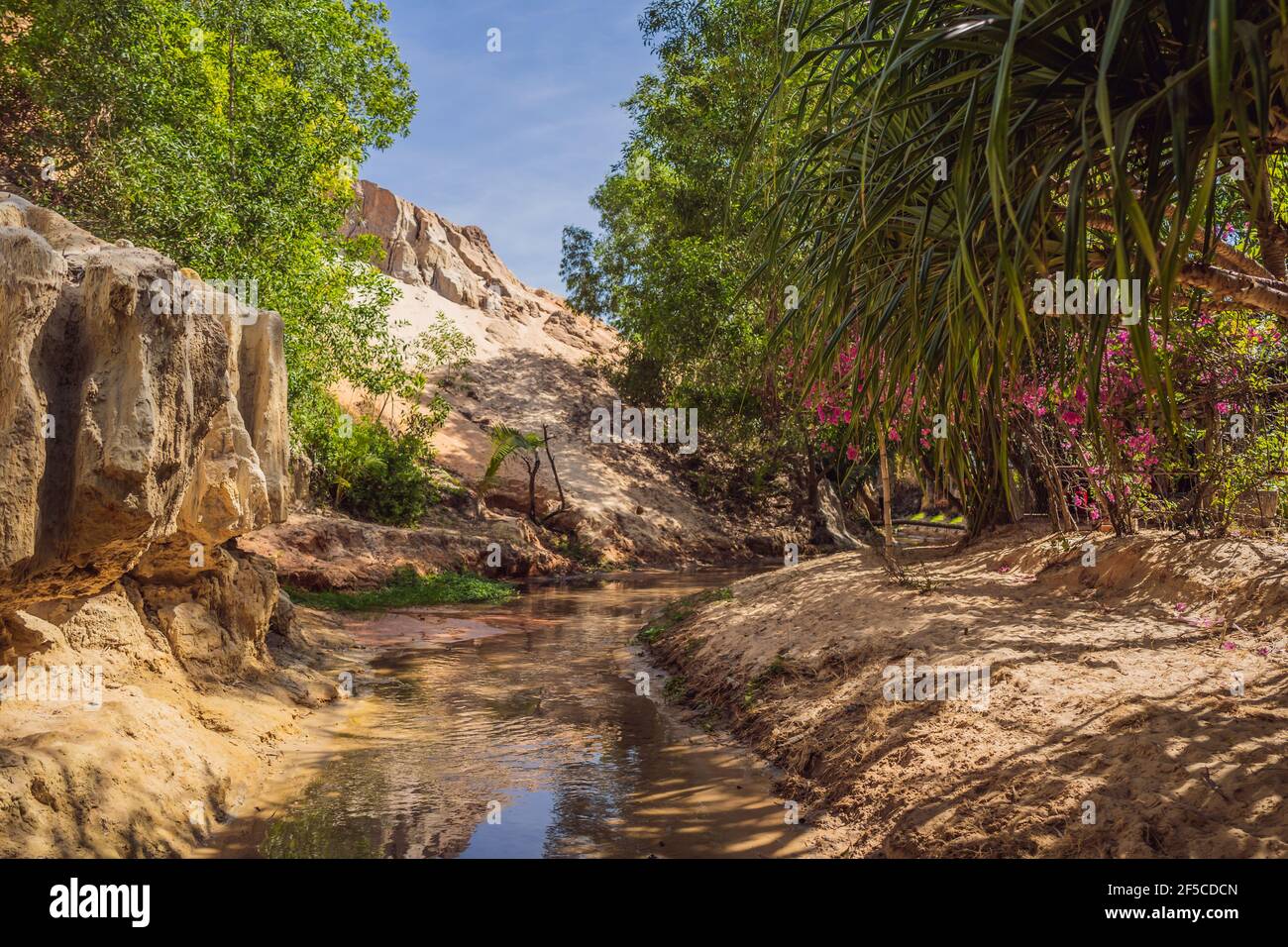 Fairy Stream zwischen den roten Dünen, Muine, Vietnam Stockfoto