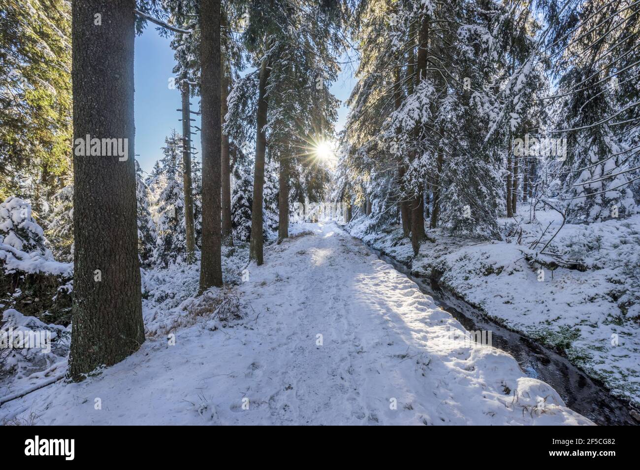 Geographie / Reisen, Deutschland, Niedersachsen, Nationalpark Harz, Wanderweg im verschneiten Land, Zusatz-Rechteklärung-Info-nicht-verfügbar Stockfoto