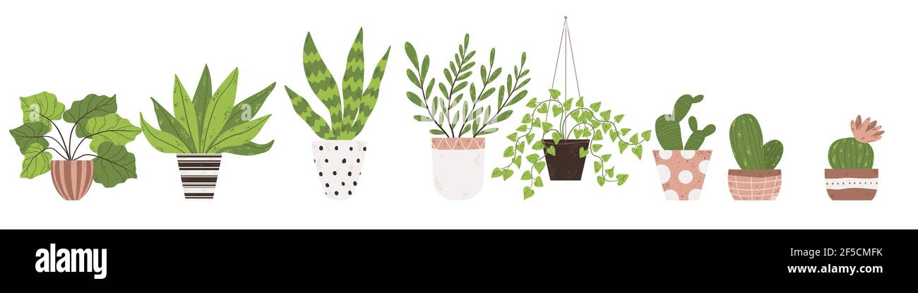Bunte Set von Zimmerpflanzen im Topf. Vektor-Illustrationen von Zimmerpflanzen in Blumentopf-Sammlung. Blumen und Kaktus im Topf im flachen Cartoon-Stil. Ist Stock Vektor