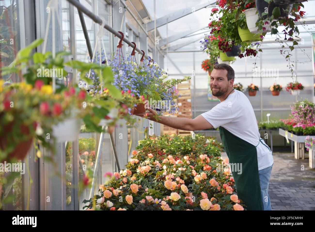 Glücklicher Arbeiter, der Blumen in einem Gewächshaus eines Blumenladens wächst Stockfoto