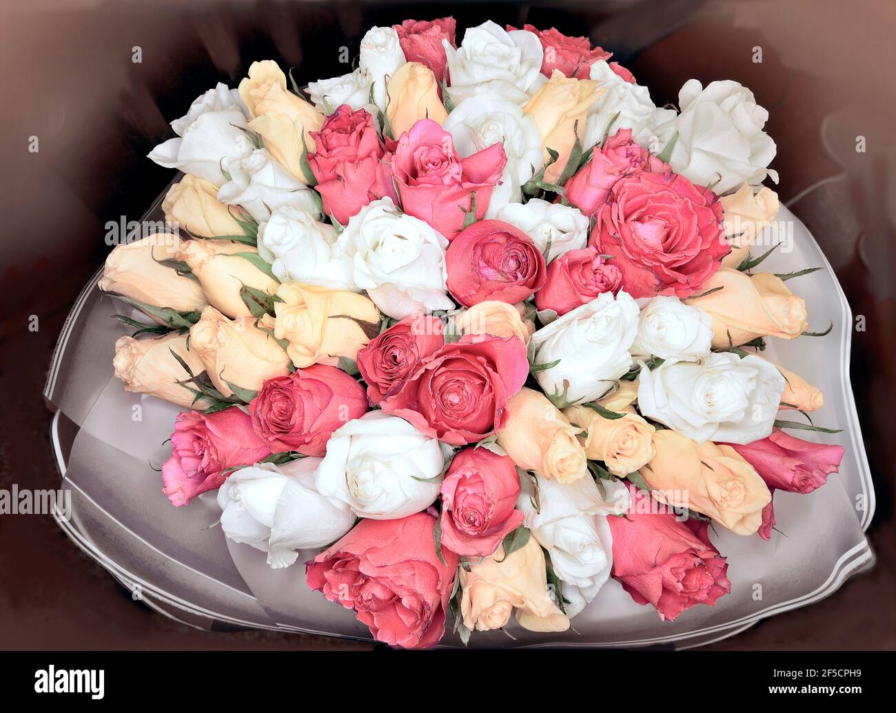 Bunte zarte Rosen Bouquet, blühende Rosen. Rosenblüten Büschel, Natur. Weihnachtsgeschenk, Strauß Rosen Blume. Pastellfarben. Urlaubshintergrund, bi Stockfoto