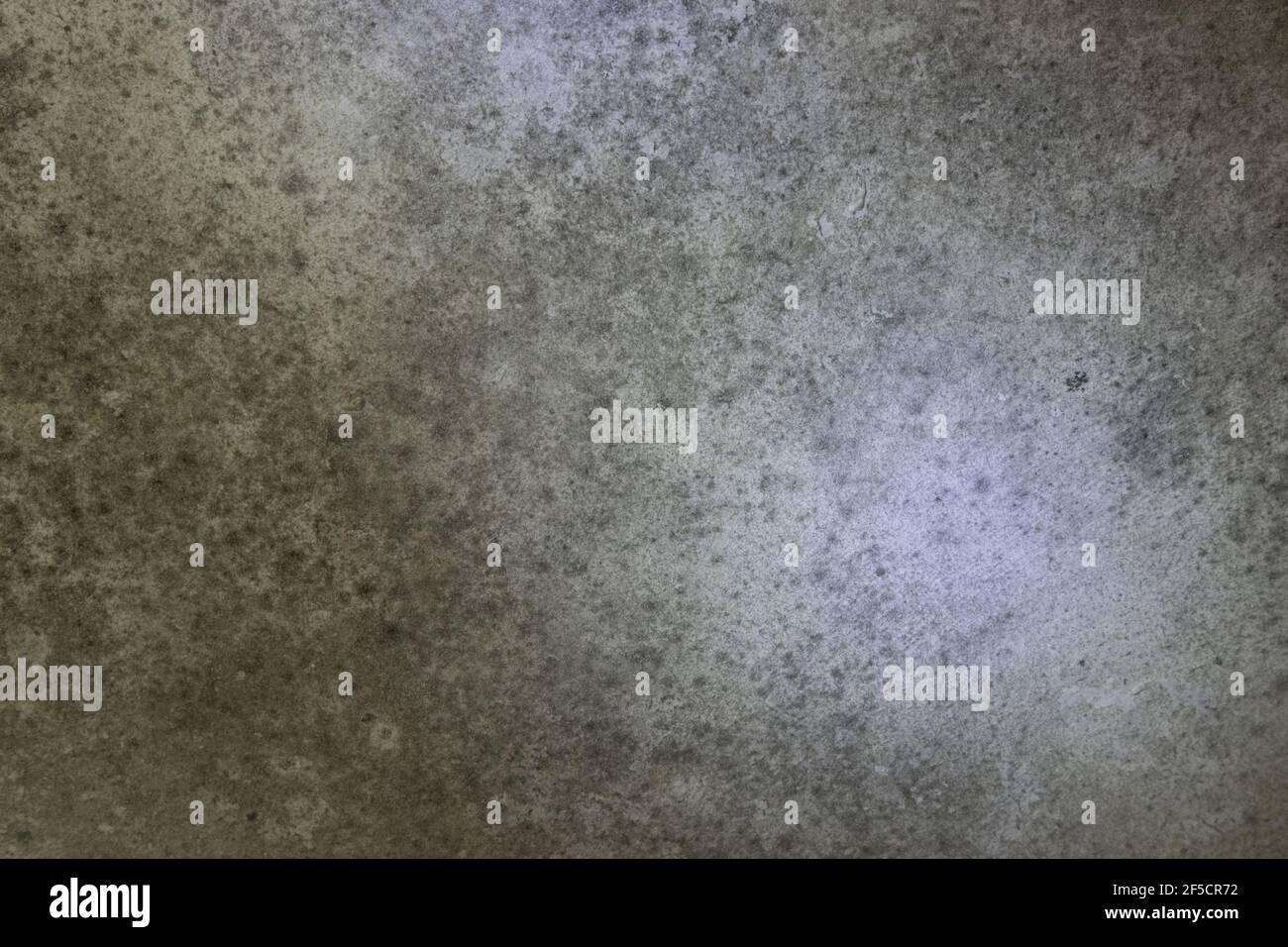 Schimmel an der Wand Extra beleuchtet als Hintergrund oder Hintergrund vorgesehen. Passend für alle Grafiken. Spiele und Filme Stockfoto