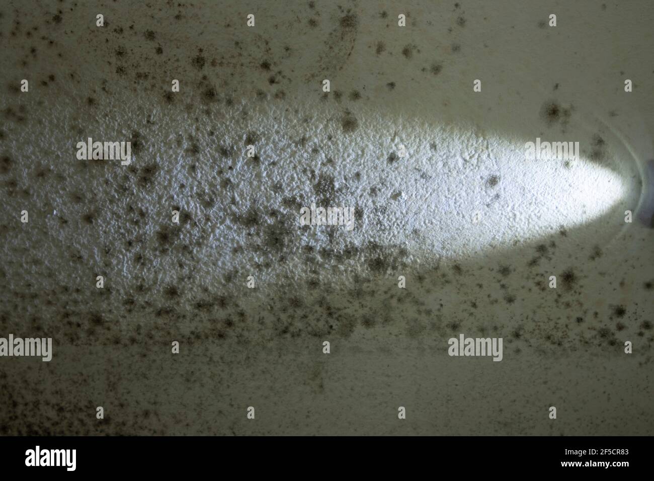 Schimmel an der Wand Extra beleuchtet als Hintergrund oder Hintergrund vorgesehen. Passend für alle Grafiken. Spiele und Filme Stockfoto