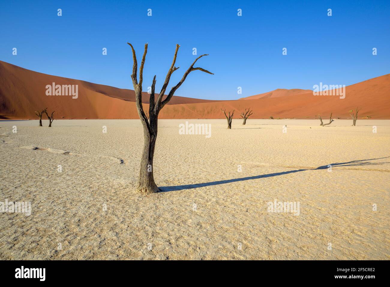 Gefuhllos Stockfotos Und Bilder Kaufen Alamy