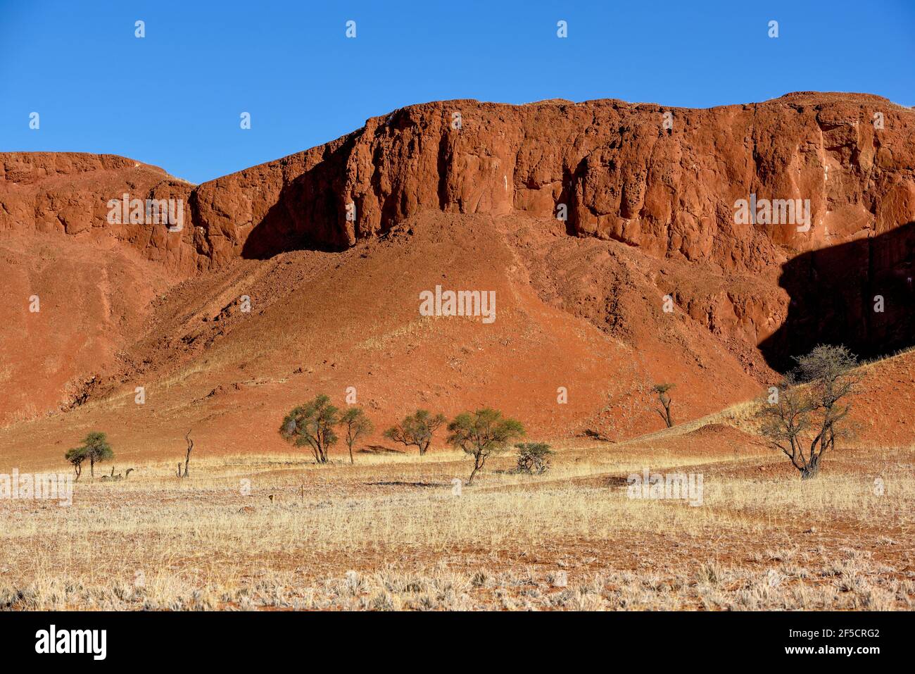 Geographie / Reisen, Namibia, versteinerte Dünen, Godwana Namib Park, bei Sesriem, Hardap-Region, zusätzliche-Rechte-Clearance-Info-nicht-verfügbar Stockfoto