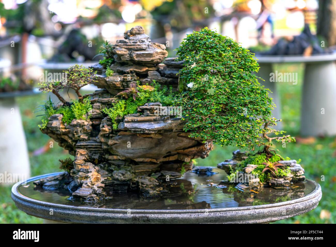 Bonsai und Penjing mit Miniatur in einem Tablett wie im menschlichen Leben sagen muss stark steigen, Geduld überwinden alle Herausforderungen gut und nützlich zu leben Stockfoto