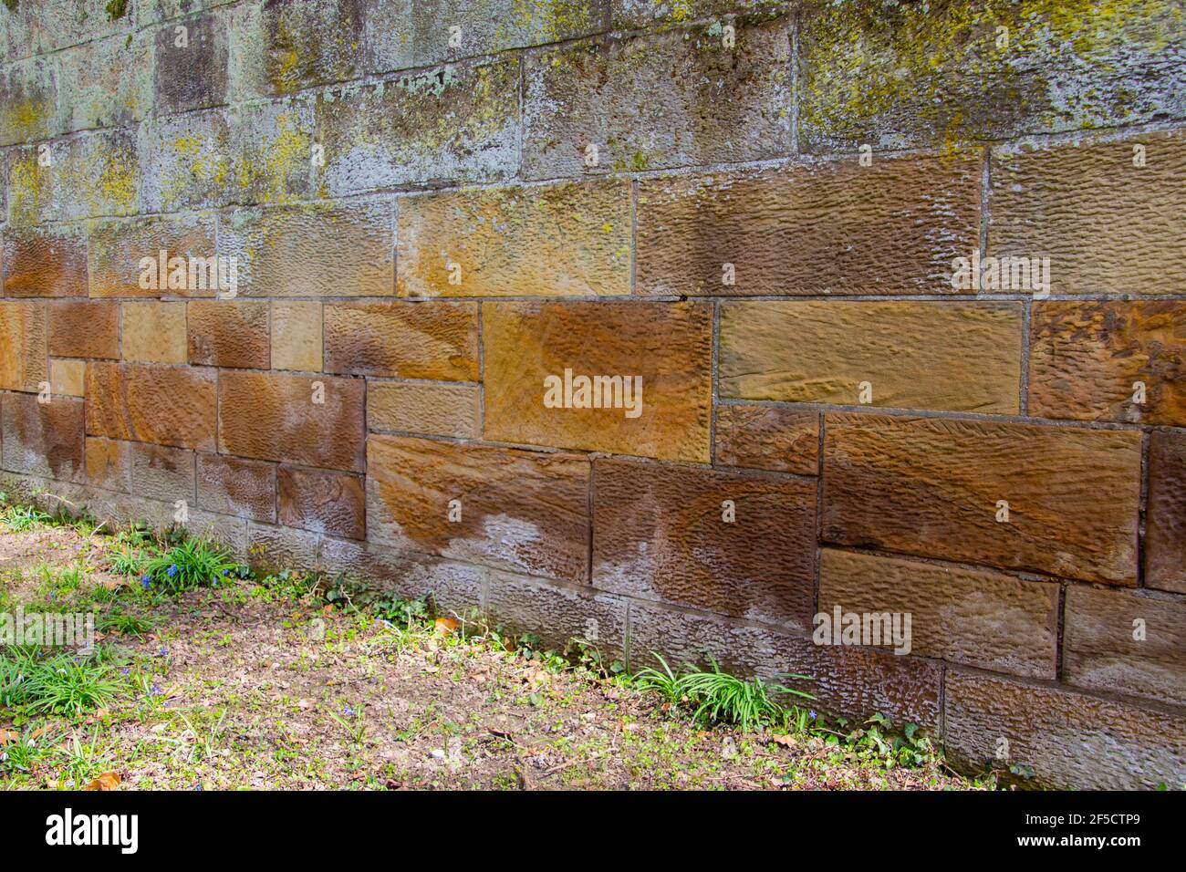 Alte Sandsteinwand mit bunten Flechten und Moos als Hintergrund Stockfoto