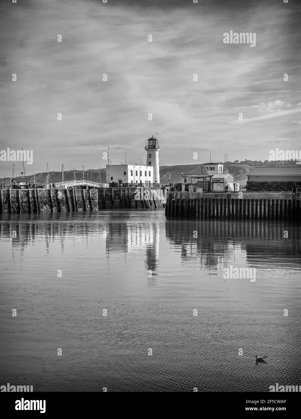 Der Leuchtturm von Scarborough mit einer Verbindungsbrücke. Ein Kai ist auf einer Seite und Möwe ist im Vordergrund. Stockfoto