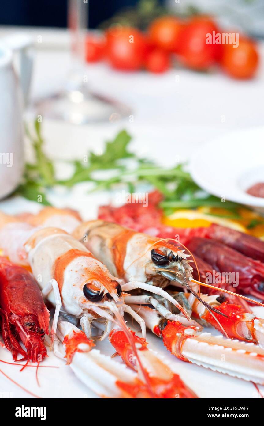 Rohe Scampi und Garnelen mischen sich Stockfoto