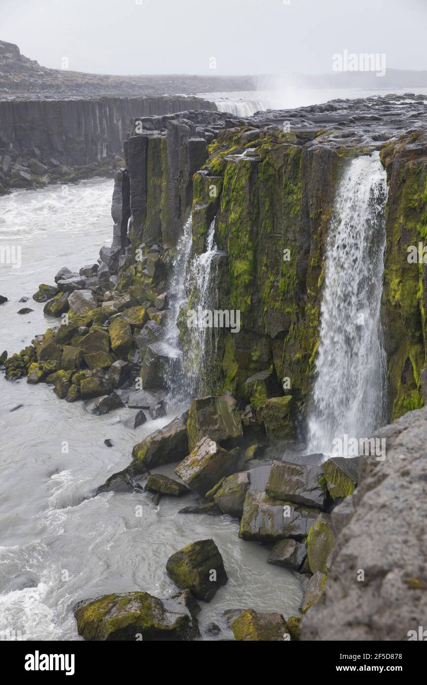 Wasserfall Selfoss, Wasserfall des Flusses Joekulsá á á Fjoellum, Island, Joekulsargljufur Nationalpark Stockfoto