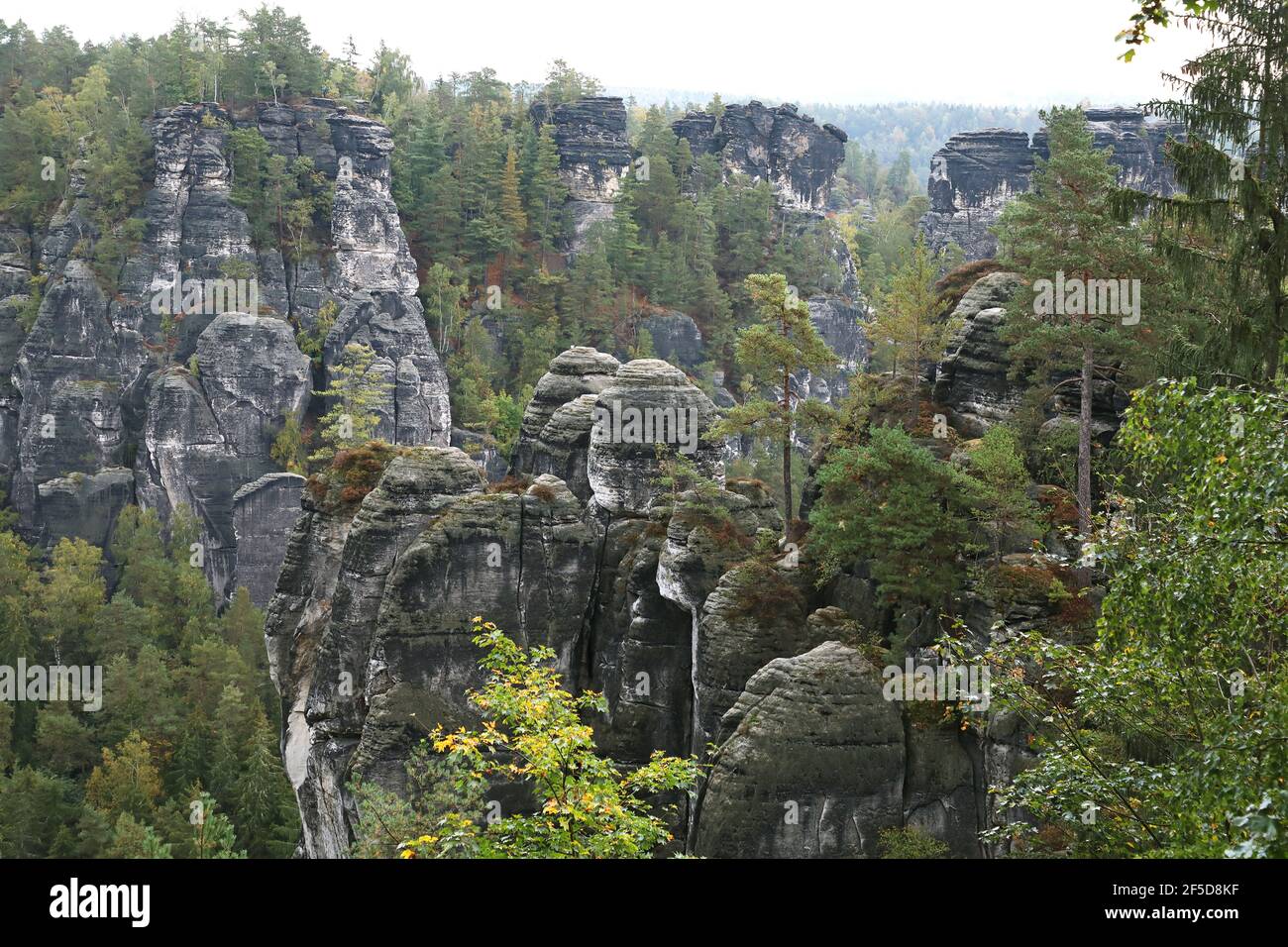 Felsen am Wehlgrund mit Felsnadel, Bastei, Deutschland, Sachsen, Nationalpark Sächsische Schweiz, Rathen Stockfoto