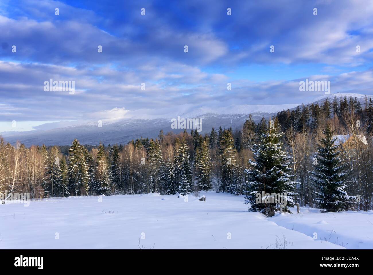 Winter Berglandschaft, Polen, Europa. Panorama des Riesengebirges bei sonnigem Wintertag, Blick von Biała Dolina in Szklarska Poreba auf Szrenica Stockfoto