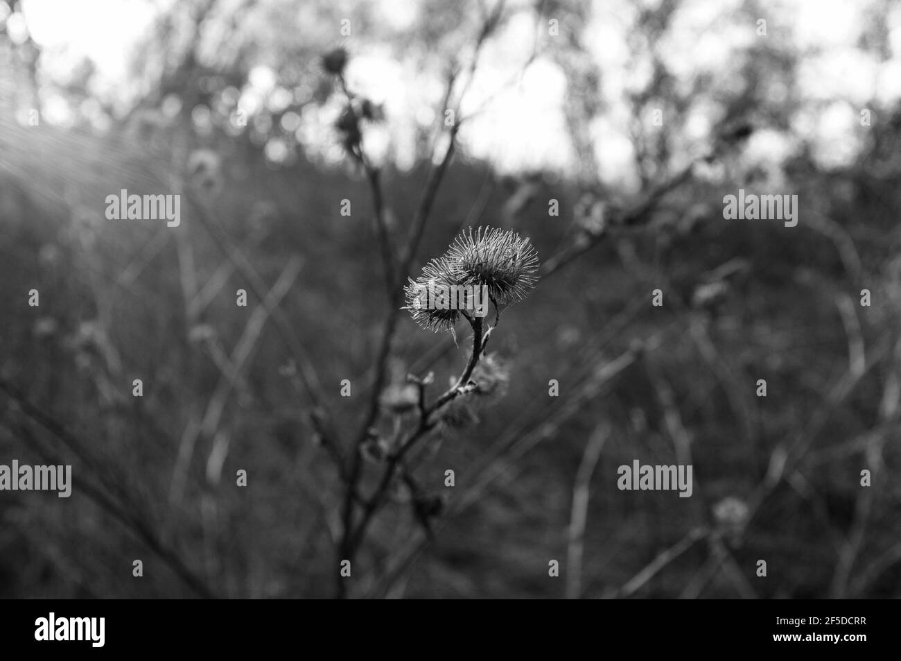 London Stockfoto