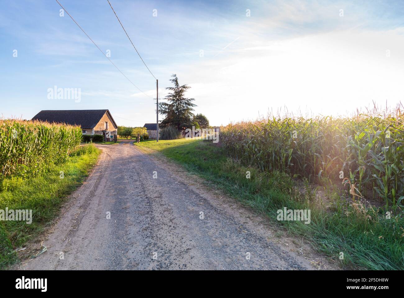 Ein französisches Landhaus, das modernisiert wurde und ist Als Ferienhaus rausgelassen Stockfoto