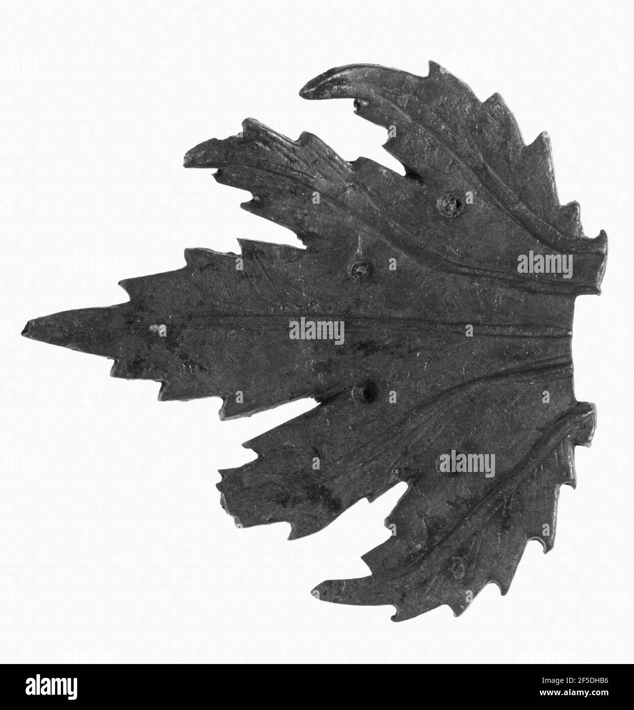 Acanthus-Blattbefestigung. Unbekannt Stockfoto