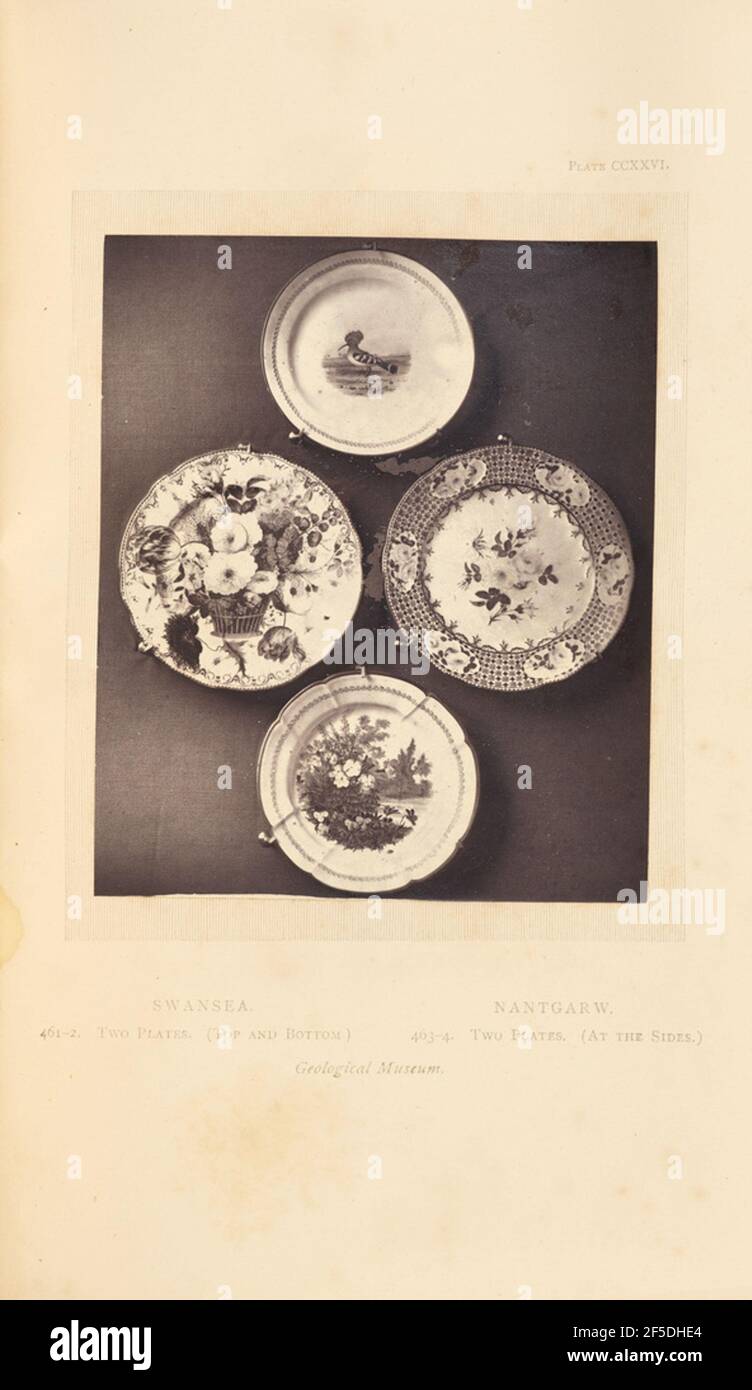Vier Platten. Ffour Teller, die an einer Wand in diamantförmiger Form hängen. Die obere Platte ist in der Mitte mit einem Vogel geneigt. Die drei anderen Teller sind jeweils mit Blumen und Mustern bemalt. (Recto, Halterung) oben rechts, mit schwarzer Tinte bedruckt: 'PLATE CCXXVI.' Unten in der Mitte, in schwarzer Tinte gedruckt: 'SWANSEA. Space NANTGARW. / 461-2. ZWEI PLATTEN. (OBEN UND UNTEN) ABSTAND 463-4. ZWEI PLATTEN (AN DEN SEITEN.) / Geologisches Museum. Kursiv' Stockfoto