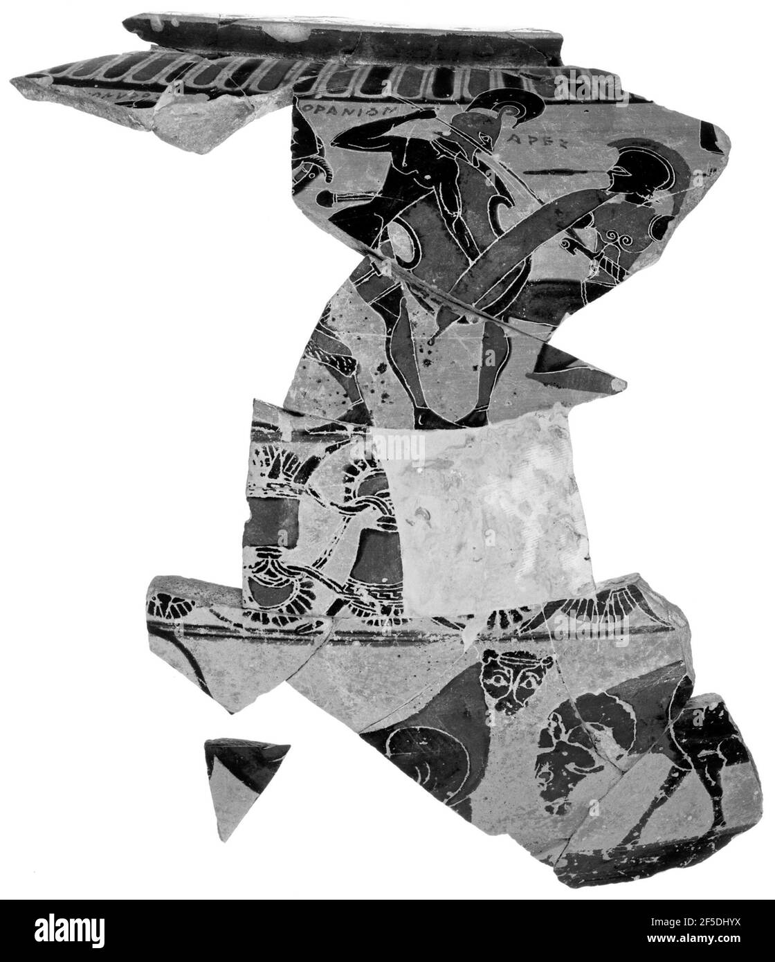 Attic Black-Figure Dinos Fragment (bestehend aus 7 verbundenen Fragmenten). Zugeschrieben Kyllenios Maler (Griechisch (Dachboden)) Stockfoto