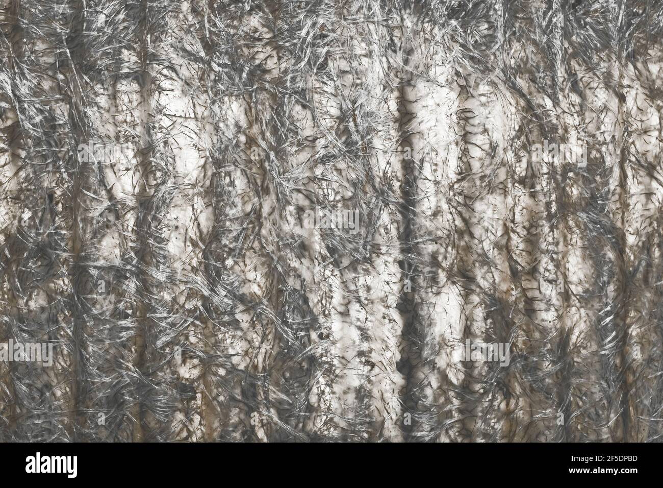 Fiberglas Muster Textur, Fiberglas Schiefer abstrakten Hintergrund. Stockfoto