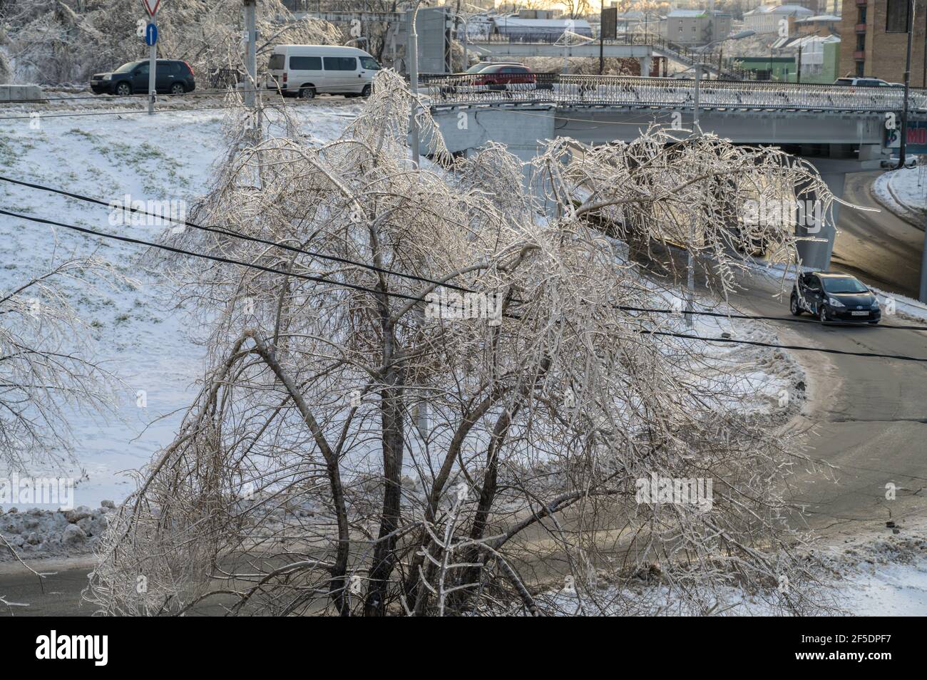 WLADIWOSTOK, RUSSLAND - 23. NOVEMBER 2020: Die Bäume sind nach eisigen Regenfällen mit einer Eiskruste bedeckt. Naturkatastrophe. Stockfoto