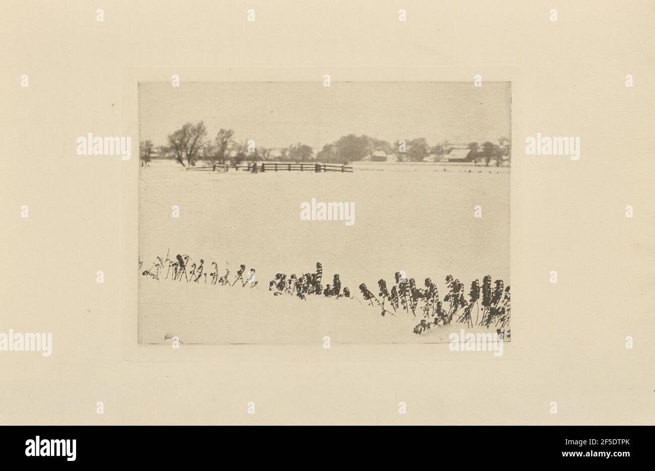 Marsh Unkraut. Peter Henry Emerson (Brite, geb. Kuba, 1856 - 1936) Stockfoto