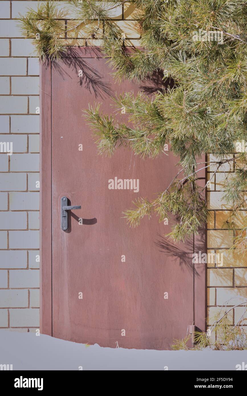 Eiserne Tür gegen eine Ziegelmauer hinter einem Ast Stockfoto