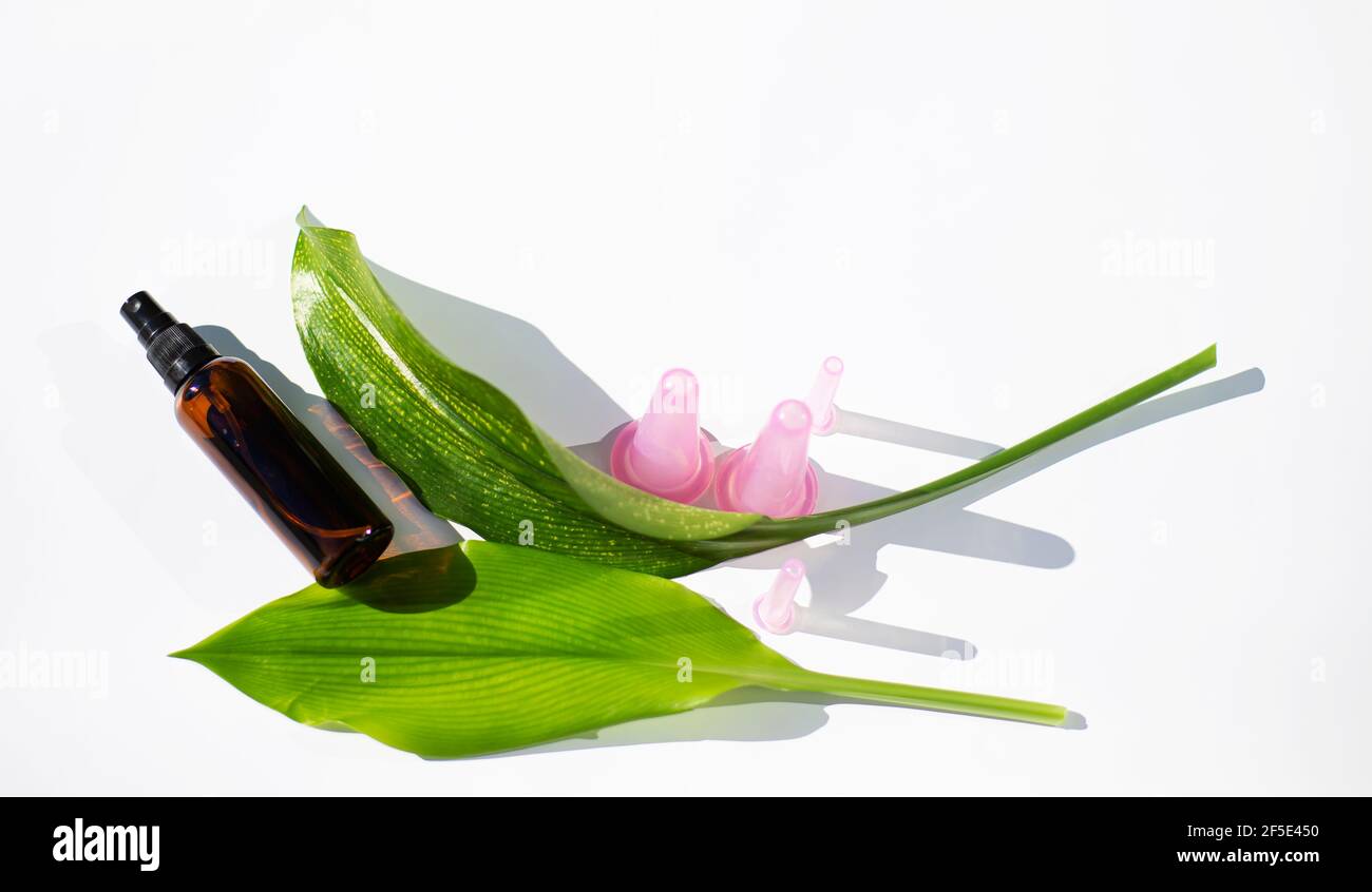 Umweltfreundliche Gesichtspflege. Große grüne Blätter. Massagegläser aus rosa Silikon für das Gesicht. Glasflasche mit Öl oder Hydrolat. Speicherplatz kopieren. Stockfoto