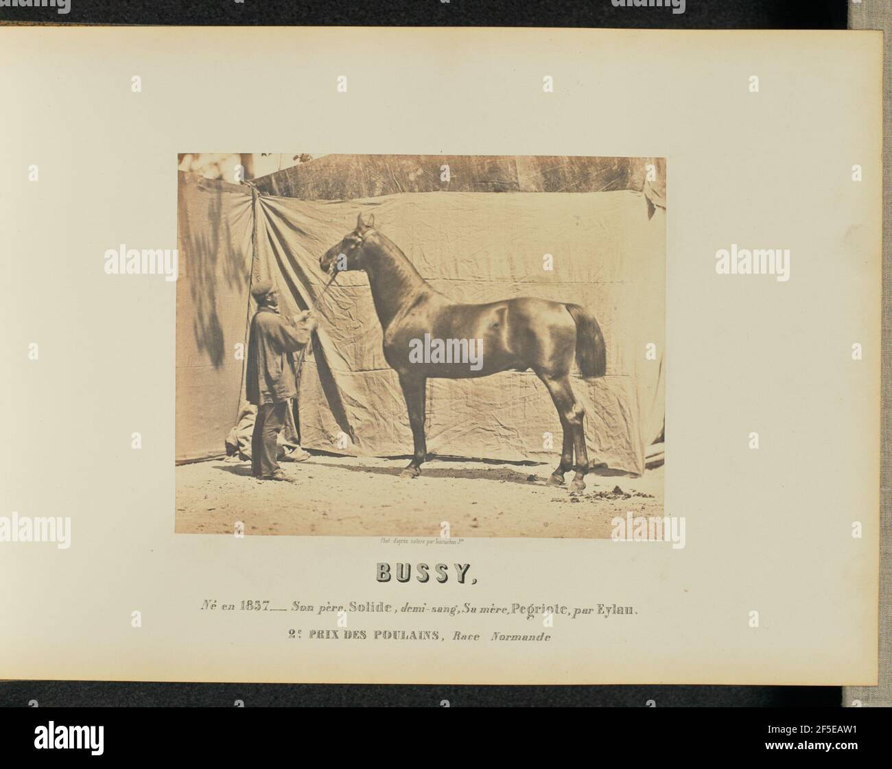 Bussy. Adrien Alban Tournachon (Französisch, 1825 - 1903) Stockfoto