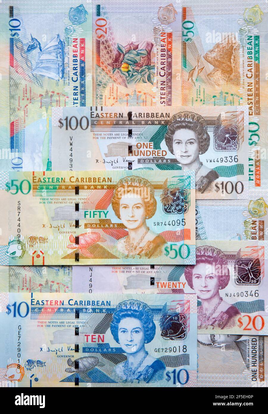 Banknoten verschiedener Stückelungen, die von der Ostkaribischen Zentralbank ausgegeben werden. Stockfoto