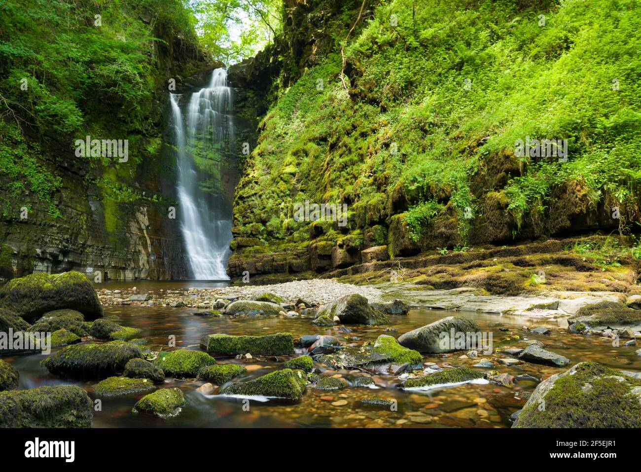 Der Wasserfall Sgwd Einion Gam am am Fluss Pyrddin im Bannau Brycheiniog (ehemals Brecon Beacons) National Park, Powys, Wales. Stockfoto