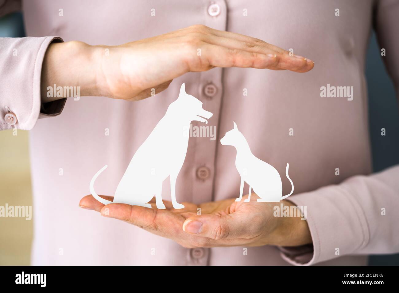 Hund Und Katze Haustierhaftung Und Gesundheitsfürsorge Stockfoto