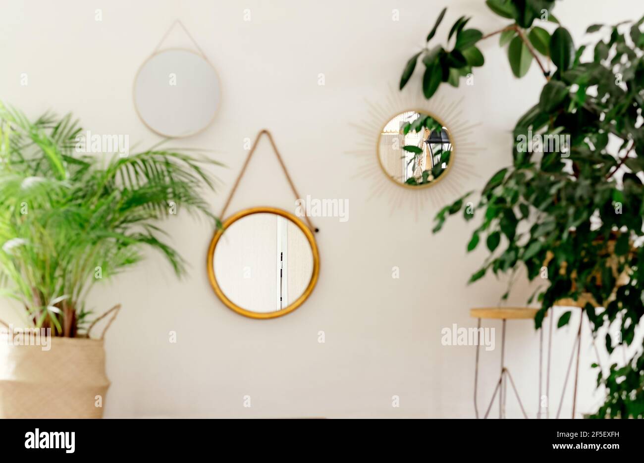 Grüne Ecke mit Pflanzen im Inneren des Hauses. Runder Spiegel im Innenraum.Ficus in einem Weidentopf. Blumen auf einem Stand. Großer grüner Baum zu Hause. Stockfoto