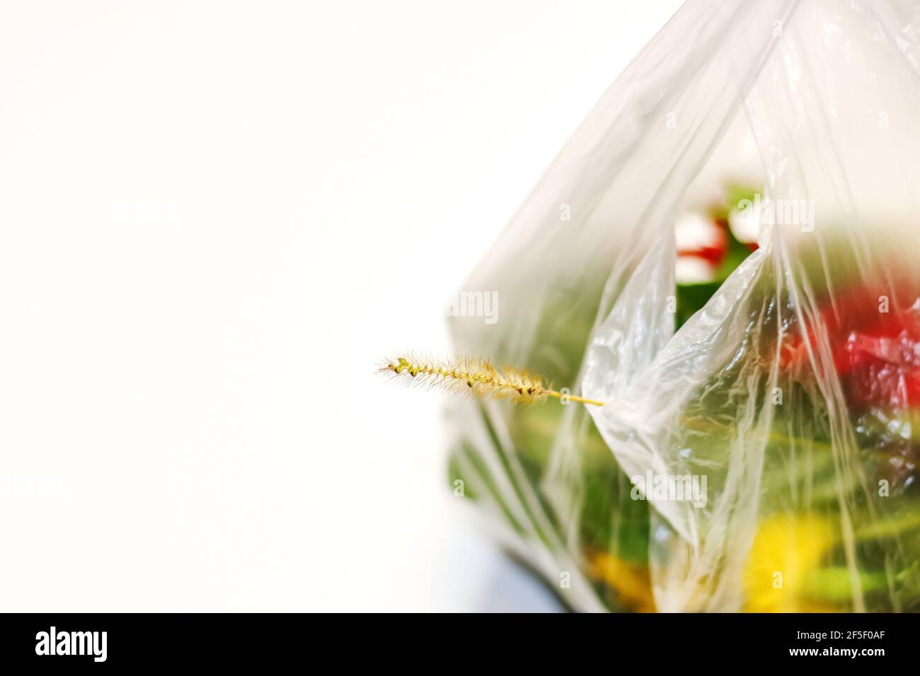 plastik krebs stockfotos und bilder kaufen alamy