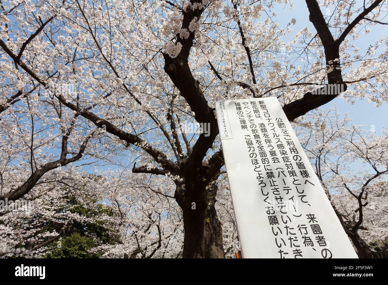 Ein Schild, das die Öffentlichkeit über die Maßnahmen informiert, die verhindern sollen, dass sich Menschen unter den Kirschblüten im Yoyogi Park zu Hanami-Partys versammeln.Obwohl Tokio am 21st. März um Mitternacht den Notstand des Coronavirus aufgehoben hat, Kirschblütenfeste und andere Versammlungen großer Zahl von Menschen sind noch begrenzt und entmutigt. Stockfoto