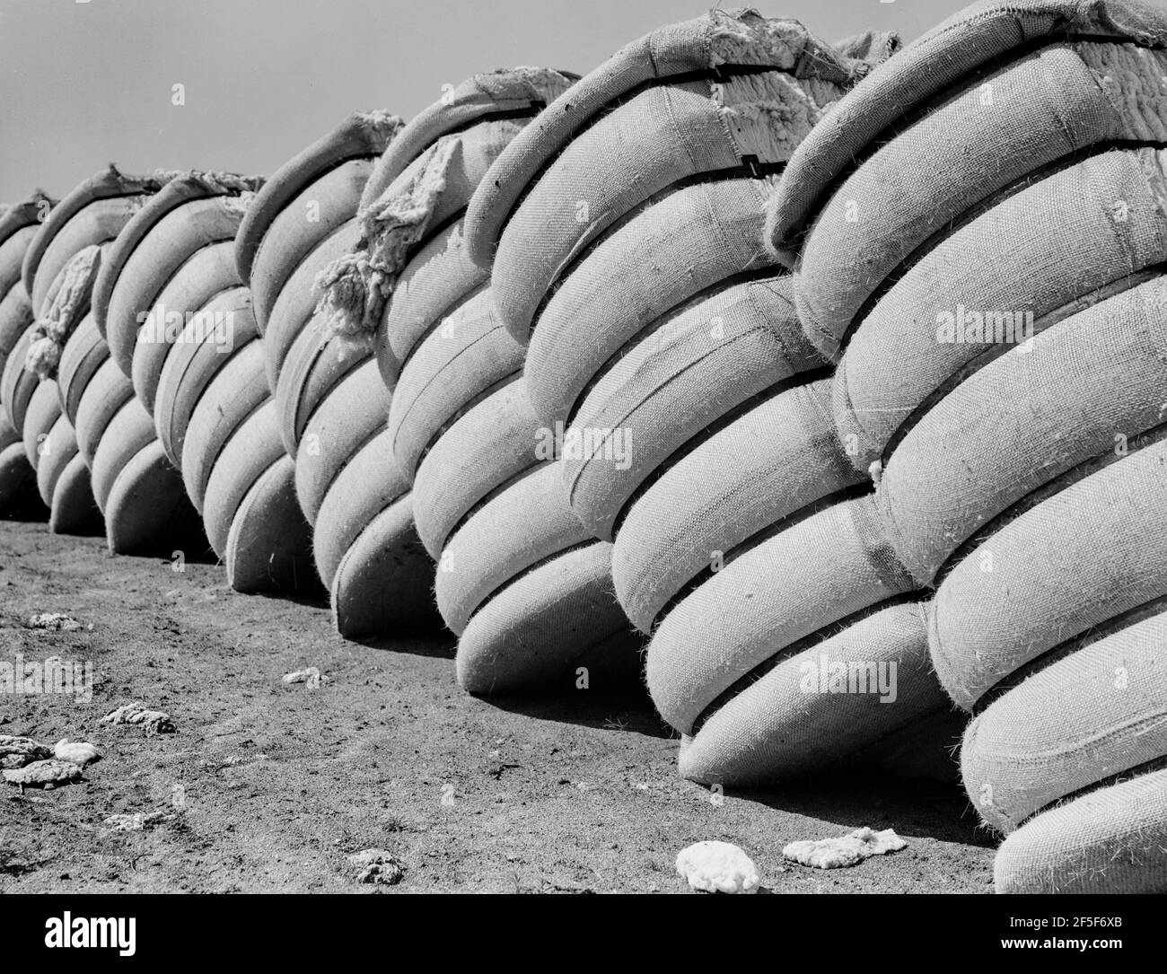 Ballen aus Baumwolle in Baumwolle Gin Yard außerhalb Bakersfield, Kalifornien. Baumwolle wird seit 1909 in Kalifornien kommerziell hergestellt. 1936 produzierte Kalifornien 3,3% der Baumwolle in den Vereinigten Staaten. Mai 1938. Foto von Dorothea lange. Stockfoto