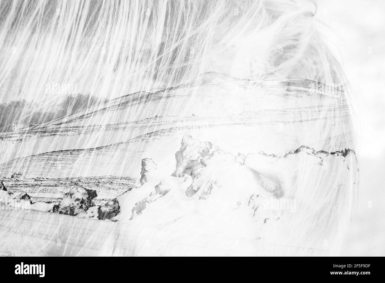 Mehrfache Exposition von isländischen Pferd im Schnee überlagert mit Verschneite Tundralandschaft von Island - kreatives Island im Januar Künstlerische Kunst Stockfoto