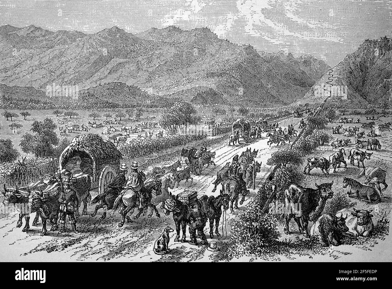 Straßenverkehr in den Anden zwischen Argentinien und Chile, 1880