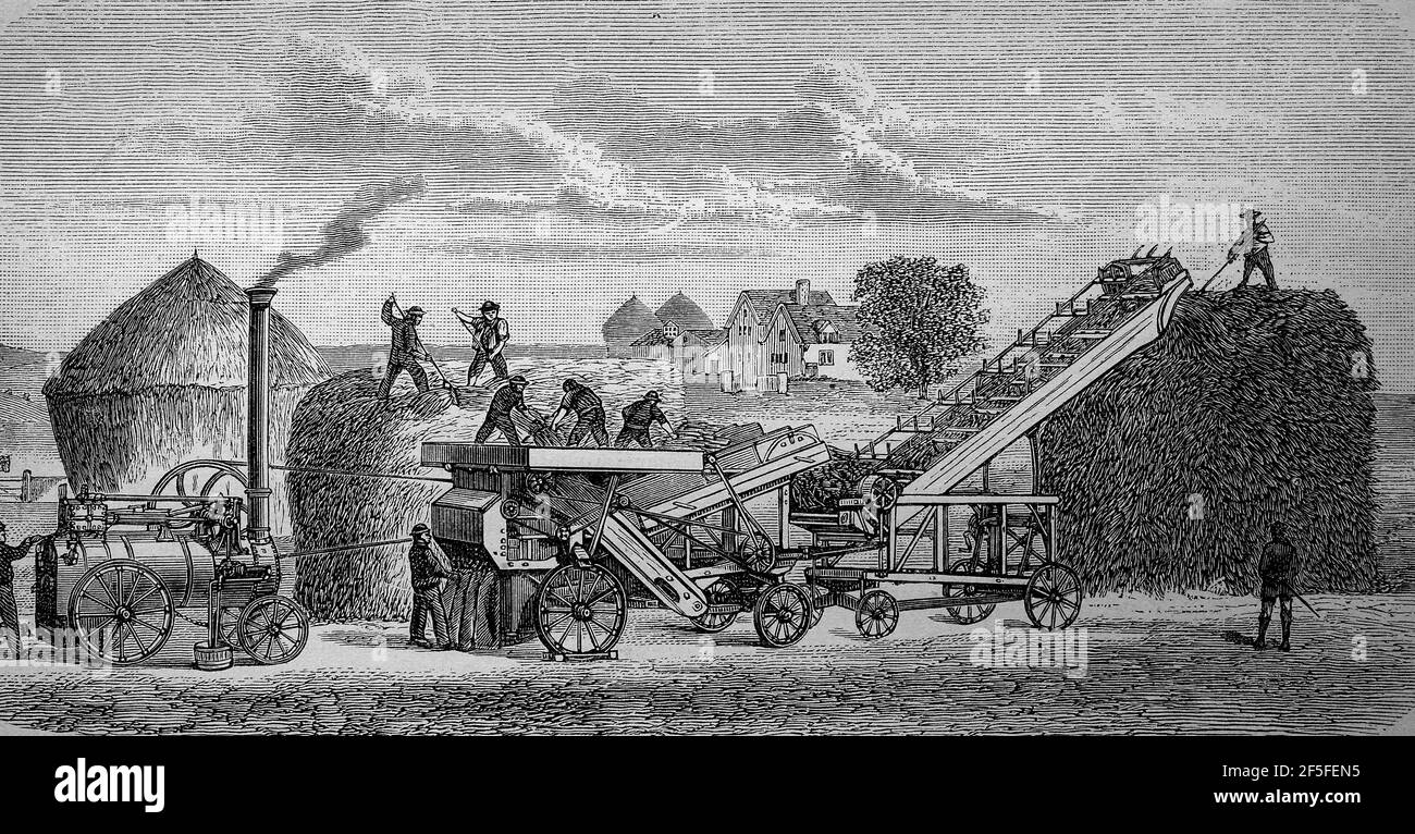 Dampfdreschmaschine, Deutschland, in 1880 / Dampfdreschmaschine, Deutschland, im Jahr 1880, Historisch, historisch, Digitale verbesserte Reproduktion eines Originals aus dem 19th. Jahrhundert / digitale Reproduktion einer Originalvorlage aus dem 19. Jahrhundert, Stockfoto