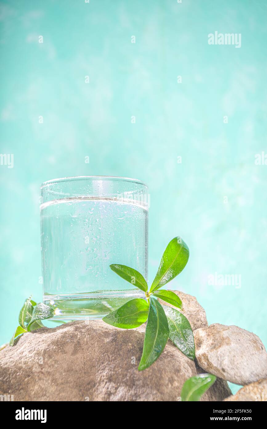 Natürliches organisches Mineralwasser Konzept. Ein Wasserglas auf  Steinsteinen, mit wilden lockigen Blättern Pflanze, auf hellem himmelblauen  Hintergrund Stockfotografie - Alamy