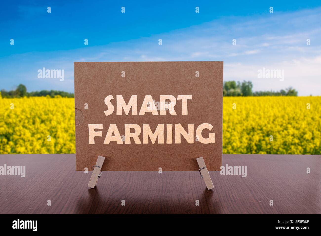 Smart Farming Text auf Karte auf dem Tisch mit gelbem Feld und blauem Himmel Hintergrund. Stockfoto